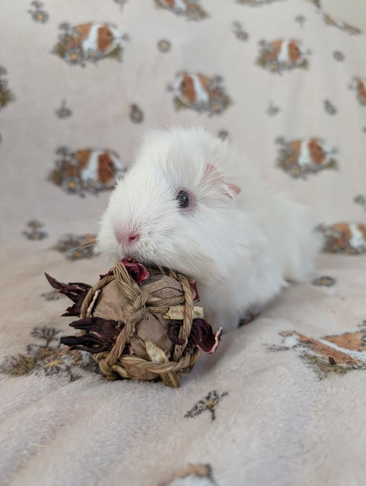 Banana Leaf Immunity Bomb