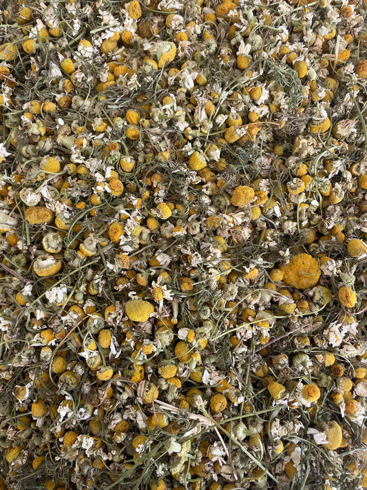 Chamomile Flowers