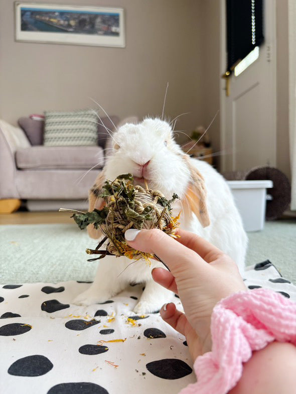 Enrichment