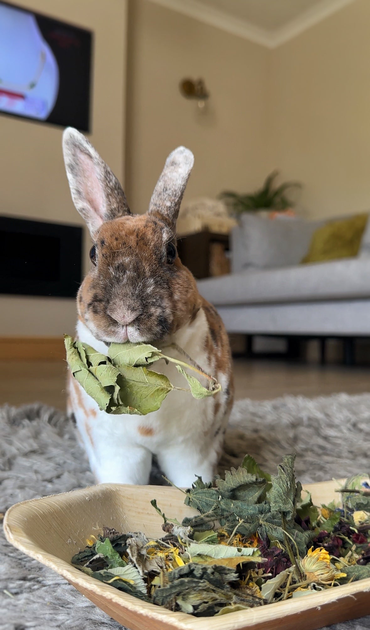 Forage blends