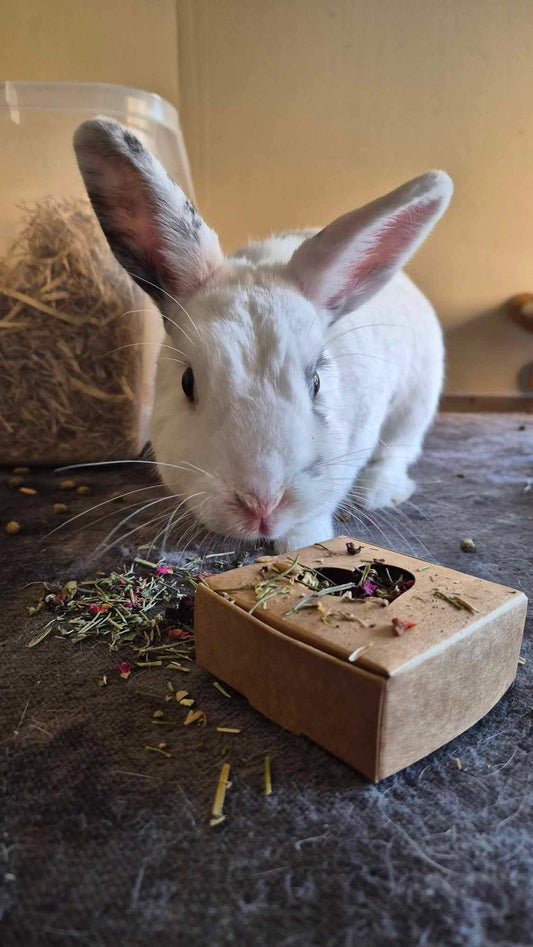 Nibble Box - Date Night