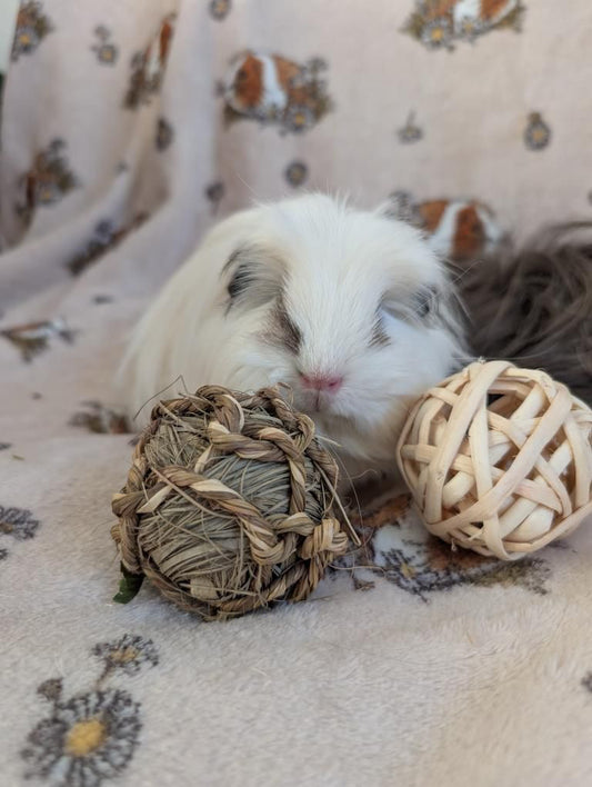 Seagrass Ball