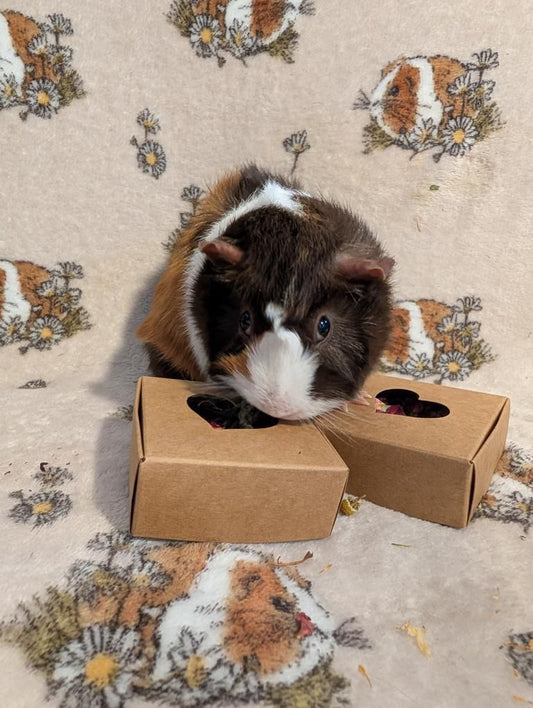 Nibble Box - Rose petals