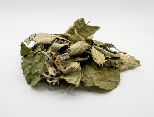 Apple leaves
