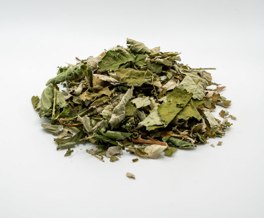 Blackberry Leaves