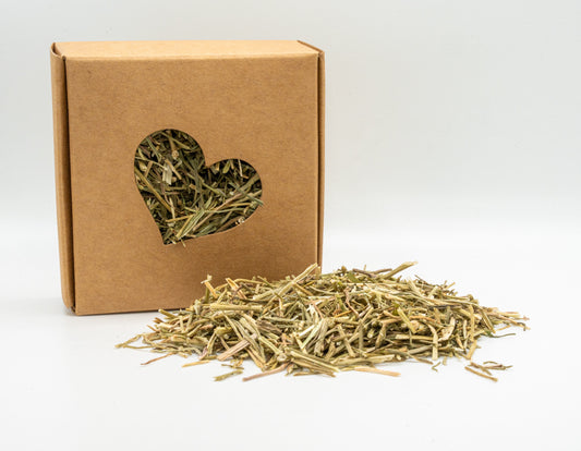 Nibble Box - Coriander stalks