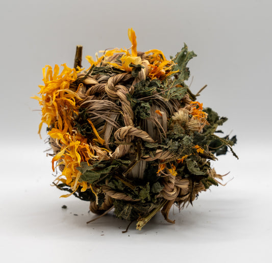 Seagrass Digestion Bomb