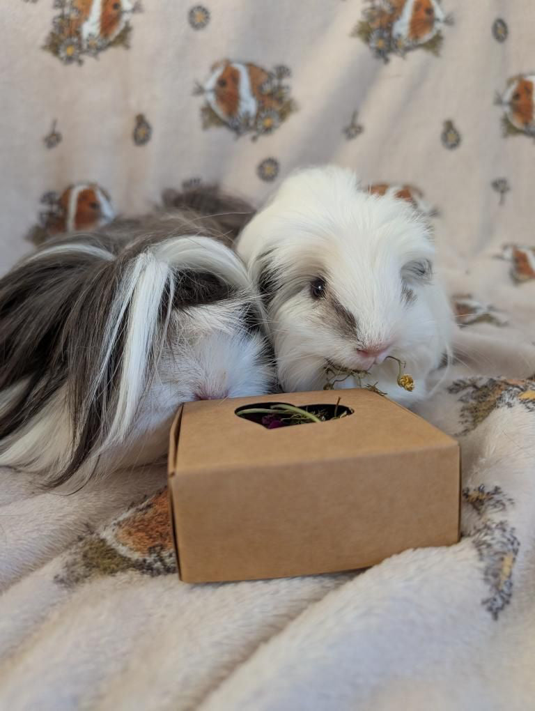 Nibble Box - Calming blend