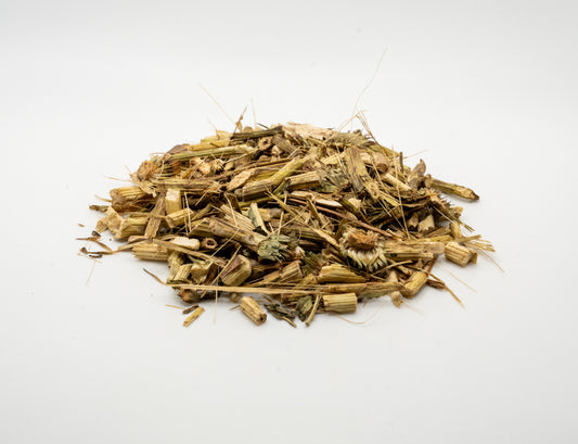 Echinacea