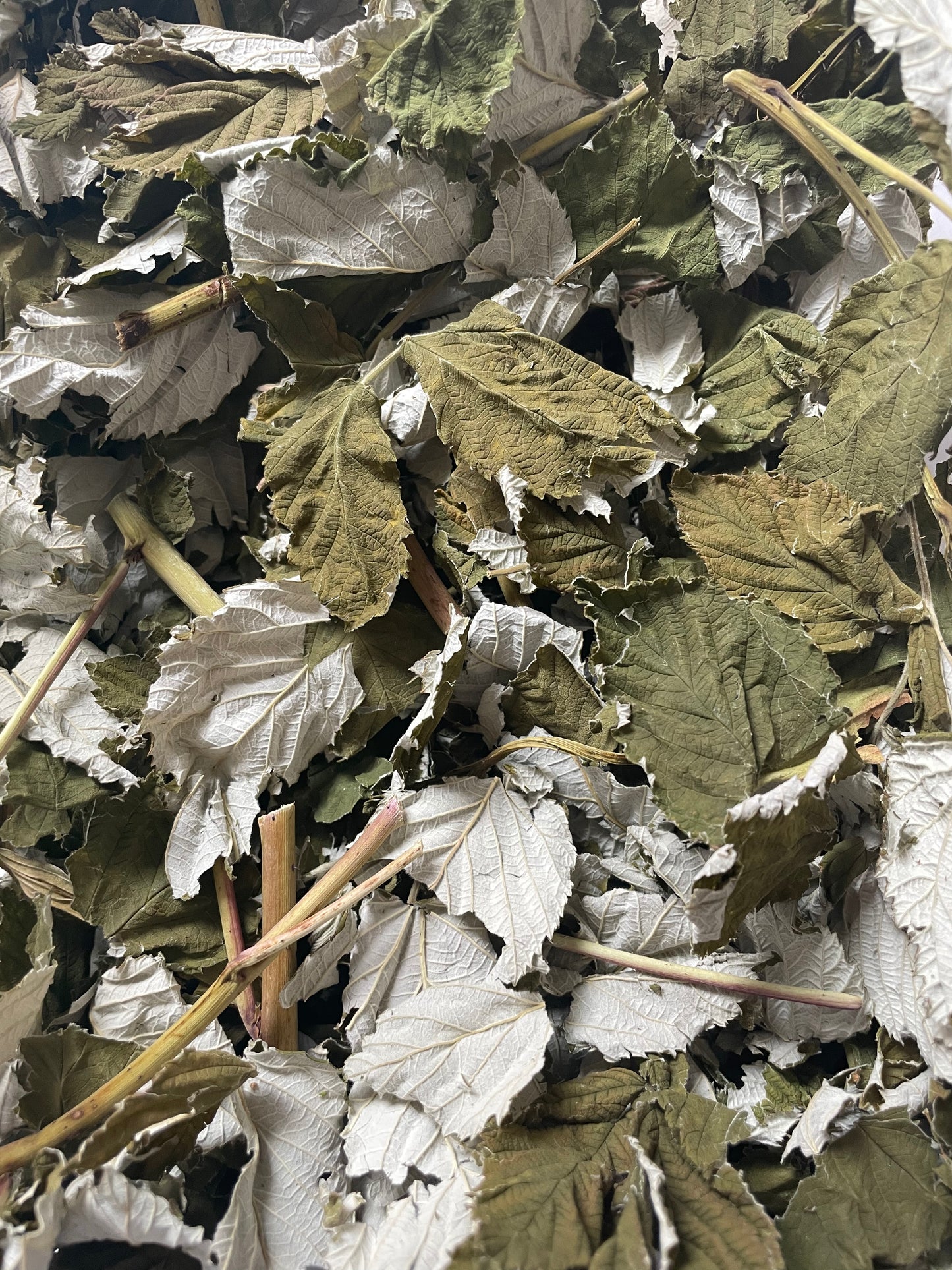 Raspberry Leaves