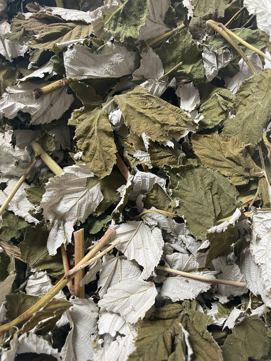 Raspberry Leaves