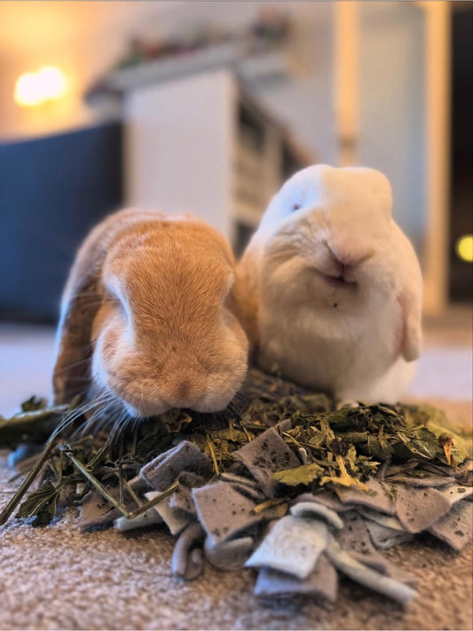 Nettles