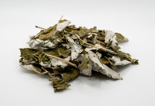 Raspberry Leaves